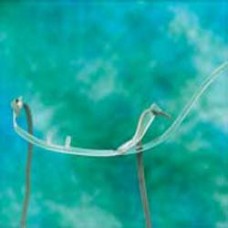 Hudson RCI Adult Cannula with Non-Flared Nasal Tips- Ca50