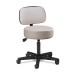 Clinton Pneumatic Stool with Backrest (2135-21) Clinton Pneumatic Stool with Backrest (2135-21)
