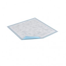 Essity Tena 351 Regular Underpad 23x24 Case200