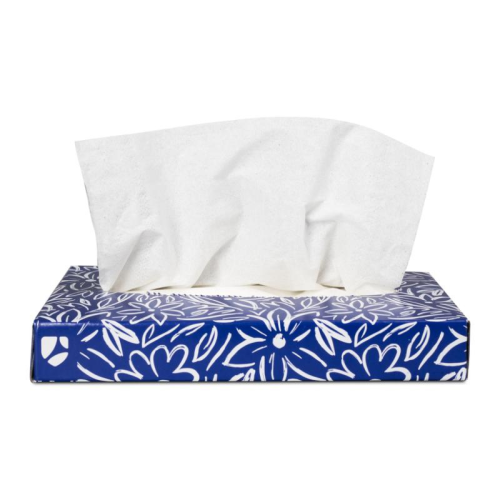 Dukal Facial Tissues in Small Bedside Box 5.7''x7', Case (TIS100)