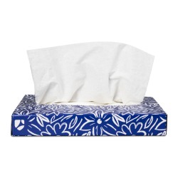 Dukal Facial Tissues in Standard Size Box 8''x 8.3', Case (TIS101)