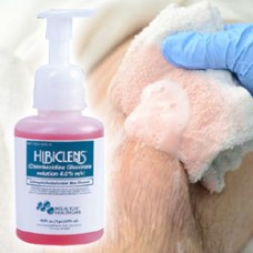 Hibiclens Foaming Skin Cleaner - 16oz Bottle 